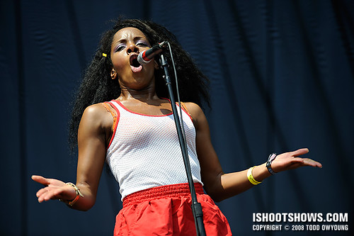 Lollapalooza 2008: Day 1
