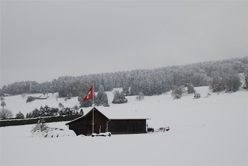 Der erste Schnee 2008-002
