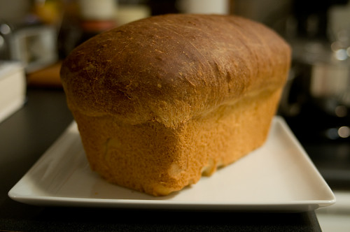 Homebaked Sandwich Bread