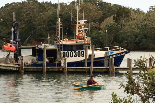 Mangonui
