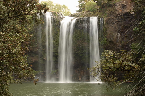 Whangarei Falls