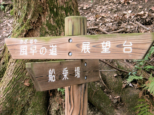 Para el caso de que estés perdido.