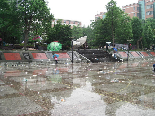 rain and trash