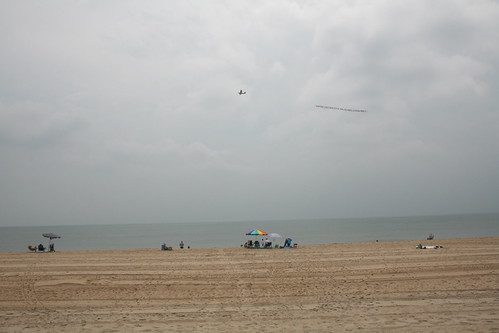 Gray Beach