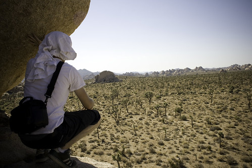 a time of climbing around in joshua tree national park, CA. 