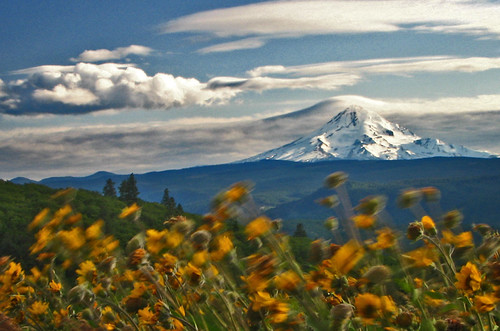 The answer, my friend, is blowin' in the wind