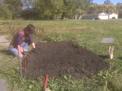 Ronna planting garlic