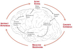 Learning Cycle