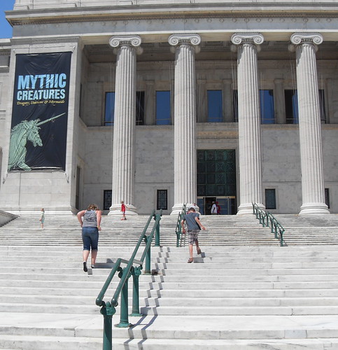 Hanna & Fox enter The Field Museum