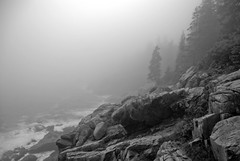 Foggy Mist B&W