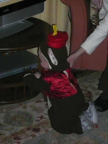 Fez Monkey