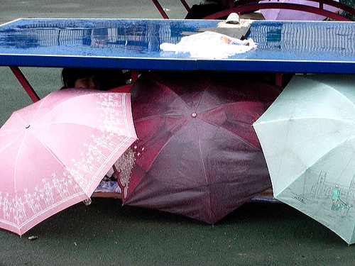 Pingpong umbrella shelter