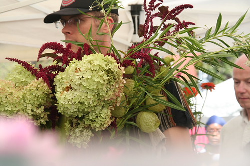 Mr. Dalloway