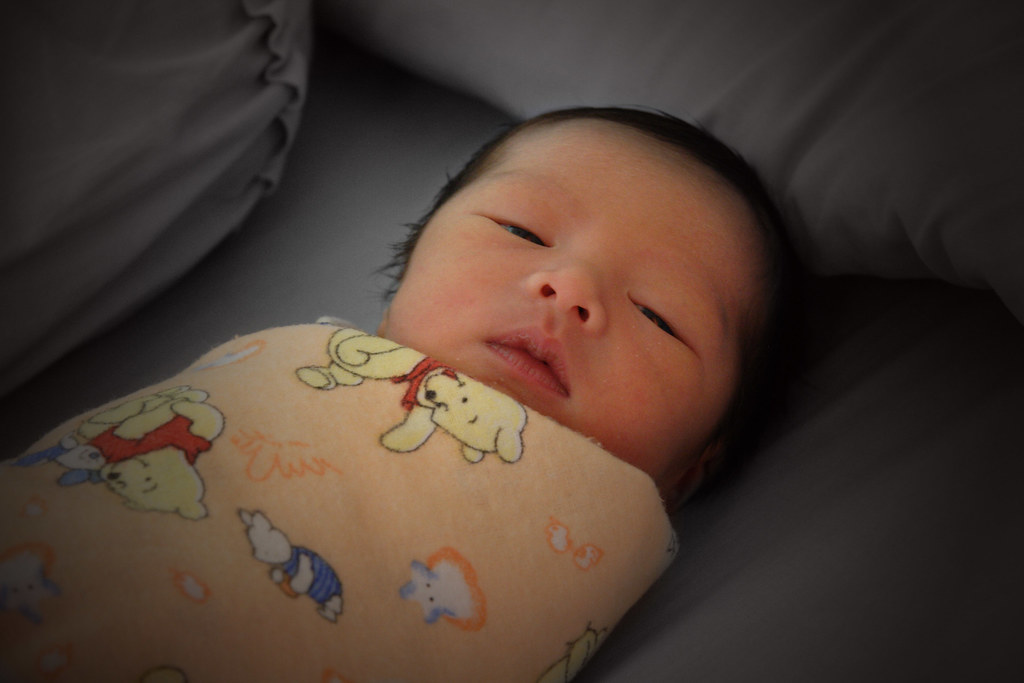 Free Gambar Lahir Dari Proses Bayi Tabung Intip 6 Foto Imut Anak Bella Shofie Terbaru oleh Lampunghits.com