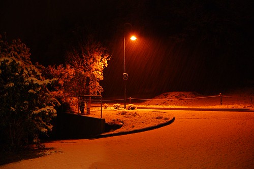 Der_erste_Schnee_2008_00011