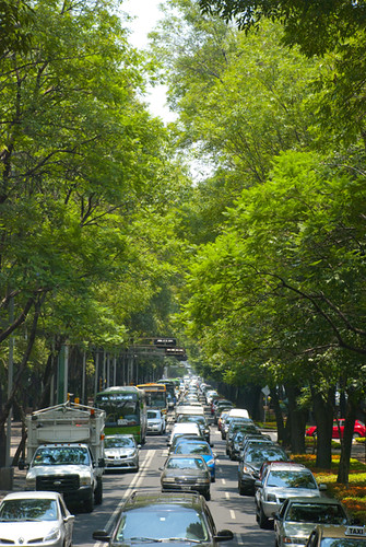 Mexico City Trip- Trafico