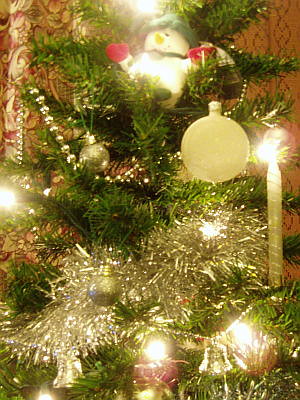 closeupshot of the tree