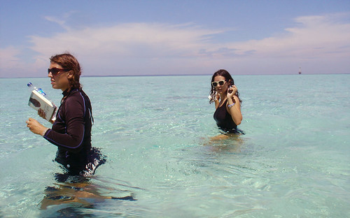 On the way from the boat to the white sand beach of Sangalaki Island. photo credit: Alex