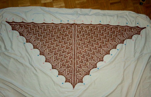 Lucky Penny Shawl - Complete