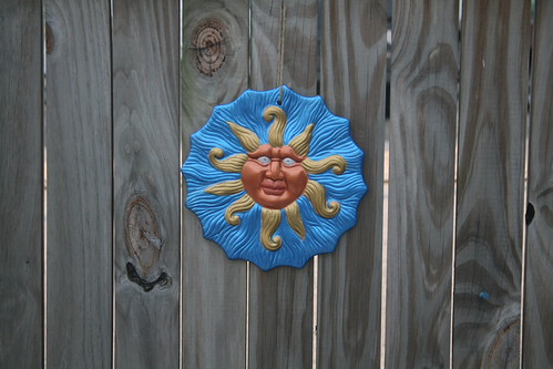 Backyard Sun 2