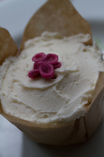 Lavender Cupcakes