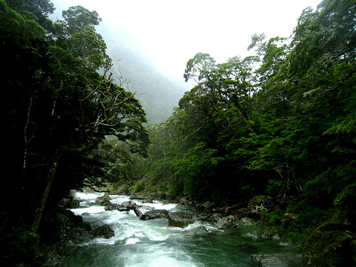 greenery