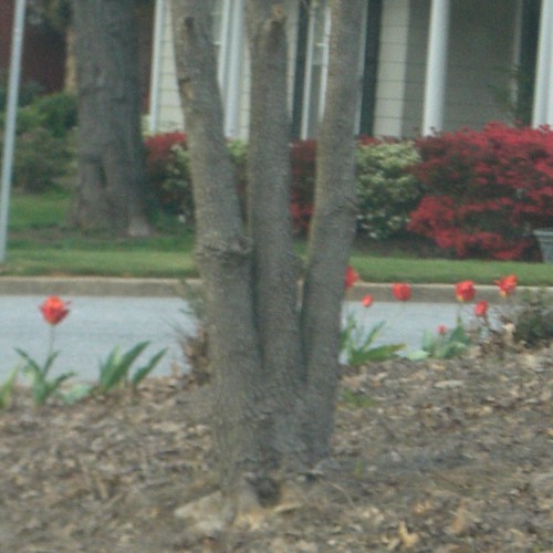 ABC Photo Challenge: W