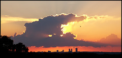 Unidentified Flying Object???