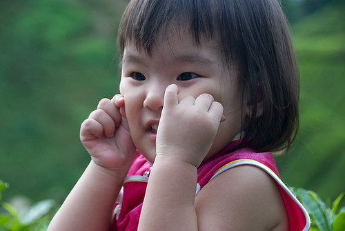Meet a little girl at tea farm