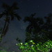DSC06210