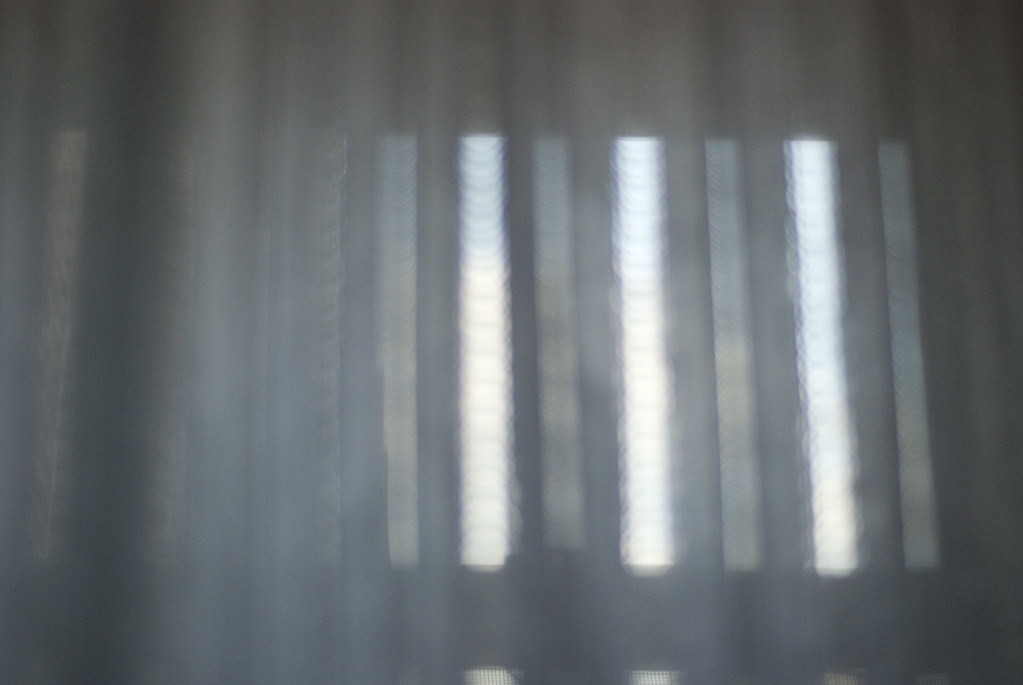 February 20th 2009 - morn