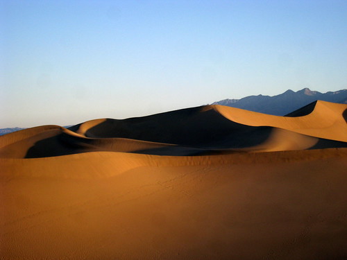 Sandy Morning