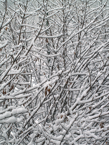 Esta nevando en MAdrid!