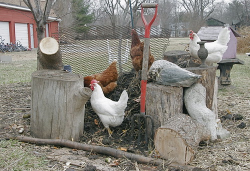 The Compost Pile