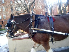 by bradleygee via flickr.com