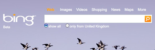 Bing JPG