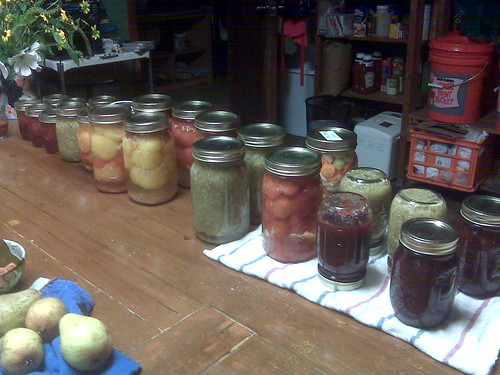 Canned goods: salsa verde, peach raspberry jam, spiced plum jam, pasta sauce, pickled what-not, whole tomatoes with basil and garlic