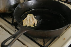 frying up the blossom