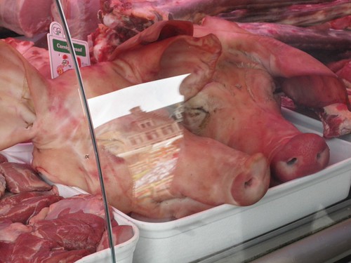 Pigs' heads