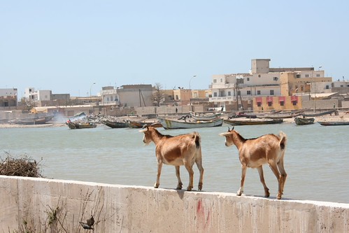 Saint Louis, Senegal