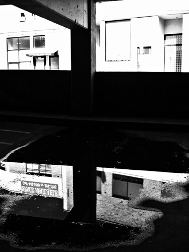 shadow of reflection