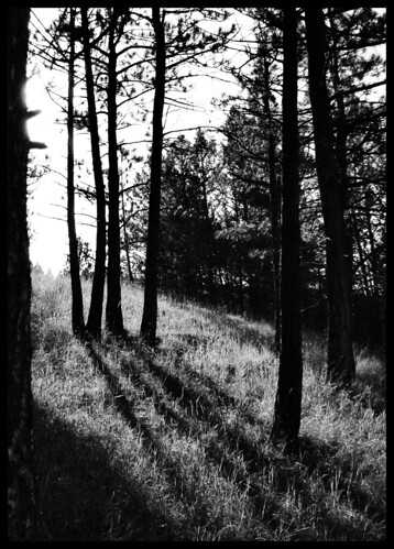 Casting such a thin shadow
