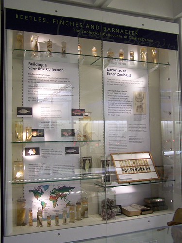 Cambridge Trip #7: Beetles, Finches and Barnacles at the University ...