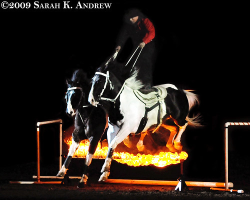 Tommie Turvey, Joker & Ace leap over fire during Theatre Equus in Harrisburg, PA