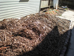 Garden as a compost pile.
