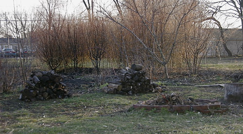 _MG_6877.JPG