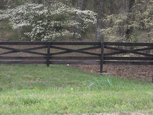 ABC Photo Challenge: X