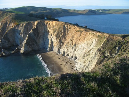 there were sea lions sunning themselves at the beach