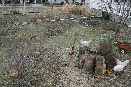 Compost and Garden