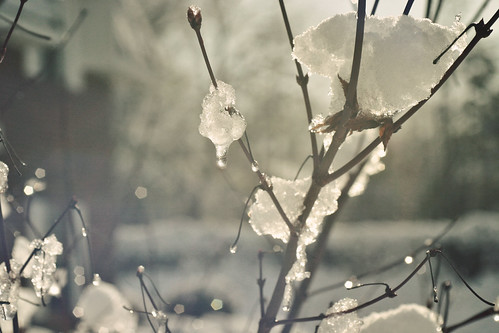 Winter Storm '09